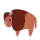 Buffalo